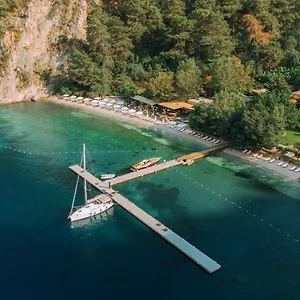 https://yazz-collective.turkeyfethiyehotels.com